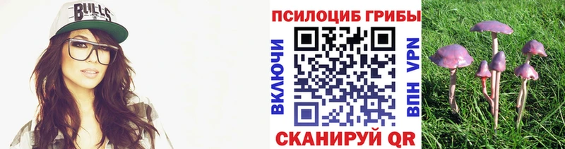 даркнет сайт  Зуевка  Галлюциногенные грибы ЛСД 